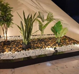 274923206_666274874580961_2487692279008936725_n