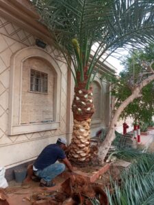 0fd8a6f2-0198-4ef0-9a05-19eb9443bead