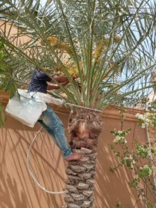 31fe3b1a-2094-4858-b447-1bd23f1d0dc8