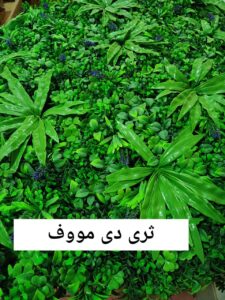 35acfb93-d987-4127-8cb1-1ef5775bd686