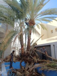 410f0e08-9c11-472e-bb82-51c334135513