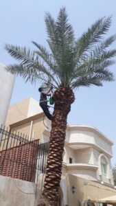 585b72ff-8e7e-4f67-8de1-42bfa086fc5b