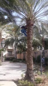 5948f95e-0249-4451-91a9-74ef82eeb110