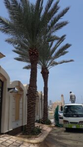 60f4ac72-6009-4b91-8fcc-8c3a1d97b365