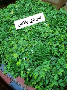 be941484-2bcf-4107-a7b3-1657c91ba3ee