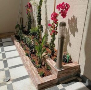 صورة واتساب بتاريخ 2024-10-30 في 22.11.48_1cb60435