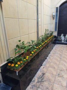 صورة واتساب بتاريخ 2024-10-30 في 22.12.00_554716d8